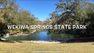 Wekiwa Springs State Park Tour amp Review [upl. by Rainger]