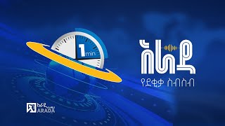 የአራዳ የደቂቃ ስብስብ የቢዝነስ ዜና ሰኔ 24 ቀን 2016 [upl. by Iturhs348]