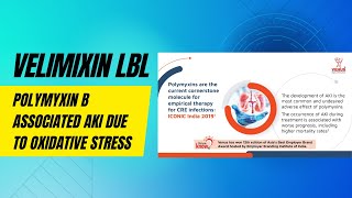 Velimixin LBL on Polymyxin B associated AKI due to Oxidative stress [upl. by Nivrae]