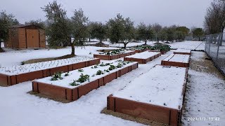 El Huerto con Hielo y Nieve [upl. by Ecart]