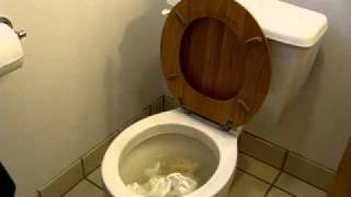 PlungeMAX  No Mess Toilet Plunger  Maximum Performance Test  Severe Clog [upl. by Saduj]