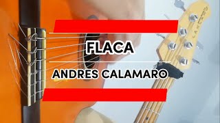 KARAOKE Flaca  Andrés Calamaro  Acoustic Track [upl. by Annerol]