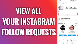 How To View All Your Instagram Follow Requests [upl. by Airdnal]