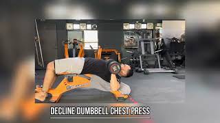 Decline Dumbbell Chest Press [upl. by Amimej319]