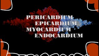 Difference between Pericardium Epicardium Myocardium Endocardium Simple amp easy learning [upl. by Jt]