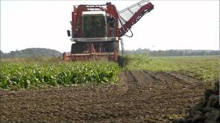 bieten rooien met agrifac big six wkm deel 1wmv [upl. by Katt857]