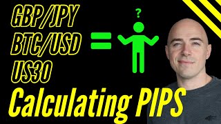 How to Calculate Pips in Forex [upl. by Uile365]