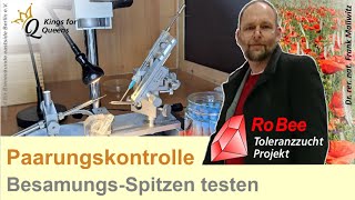 Bienenköniginen kontrolliert paaren Test von Kapillaren zur instrumentellen Besamung [upl. by Ayirp643]