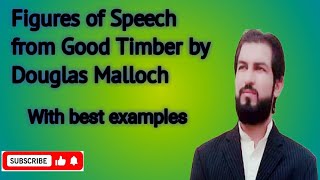 Figures of speech in poem Good Timber class 11 [upl. by Adnuahsal893]