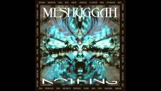 Meshuggah  Rational Gaze ﴾Ƨlow﴿ [upl. by Opaline]