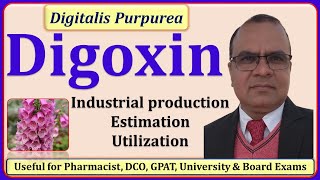 Digoxin Industrial production estimation amp utilization pharmacognosy [upl. by Yeung101]