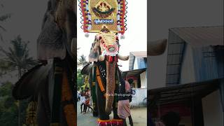 ചാലക്കുടിക്കാരൻ ചങ്ങാതി Ukkens Kunju trendingshorts elephant aanapappan aanapremam pooram [upl. by Oiliduab76]