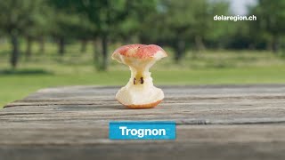 Trognon Tchaîfion Chretchu – MIGROS DE LA RÉGION [upl. by Ardekahs]