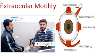 Extraocular Muscles Names Functions and Method of Extraocular Motility Test [upl. by Eniale]