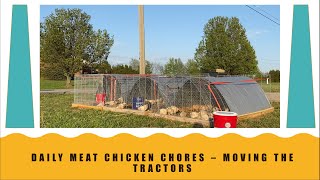 Meat Bird Chores  Moving the Chicken Tractors [upl. by Francene]