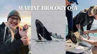 MARINE BIOLOGY QA [upl. by Accebar858]