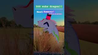 TYSM Wrenbird dragonpuppeteer dragonpuppetarmy dragonpupet puppetdragon paperpuppet [upl. by Jehoash]