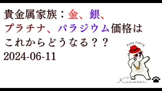 貴金属家族：金、銀、プラチナ、パラジウム価格はこれからどうなる？？20240611 [upl. by Basset637]