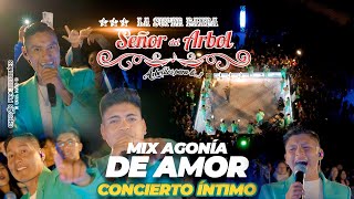 LA SUPER BANDA SEÑOR DEL ÁRBOL  CONCIERTO ÍNTIMO MIX AGONÍA DE AMOR En Vivo Oficial 4k [upl. by Treborsemaj]