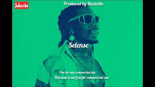 SELENSE  Asake X Burna boy type beat Afrobeats 2024 [upl. by Immac]