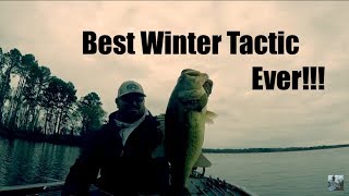 Winter Bass Fishing Chatterbait Tips [upl. by Bal]