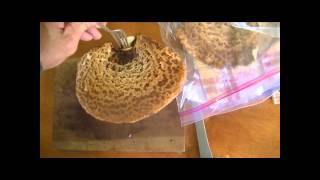 Dryads saddle Cooking and Saving [upl. by Bradman]