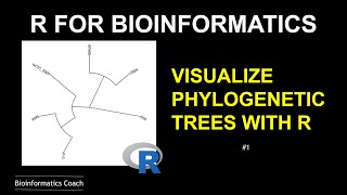 R for Bioinformatics  How to Visualize Phylogenetic Trees using ggtree [upl. by Landry632]