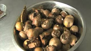 Medlar fruits harvested 3rd December tasting a fresh ‘ripe’ fruit and what I plan to do with them [upl. by Noraha11]