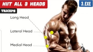 Best Triceps Workout For Every Head triceps tricepsworkout [upl. by Rramed]