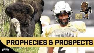 The NFL comp for the top Colorado Buffaloes including Shedeur Sanders Travis Hunter amp Jordan Seaton [upl. by Kara-Lynn676]