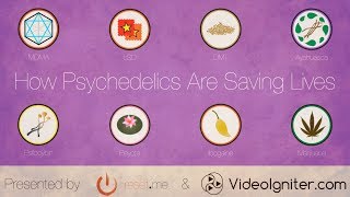 How Psychedelics Are Saving Lives [upl. by Kind]