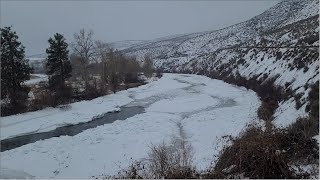 Yakima River Fly Fishing ReportJanuary 26th 2024Worley Bugger Fly Co [upl. by Krawczyk634]