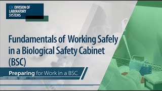 Fundamentals of Working Safely in a Biological Safety Cabinet BSC Preparing for Work in a BSC [upl. by Artima]