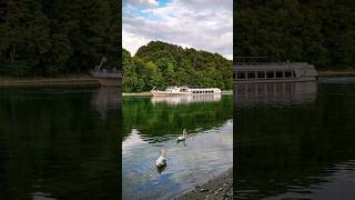 Schiffe bei Diessenhofen am Rhein  Untersee und Rhein Schifffahrt  Kanton Thurgau Schweiz shorts [upl. by Nawotna]