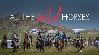 All The Wild Horses  Trailer  iwondercom [upl. by Barnet]