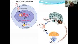 Endocrine disorders [upl. by Natal]