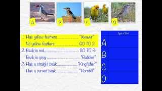 Using Dichotomous Keys [upl. by Holcman]