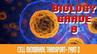 The Cell  Cell Membrane Transport B  Facilitated Diffusion  Active Transport  Part 8 [upl. by Patience]