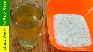 आसान तरीके से बनाये घर में yeast for bakery style ladi pavbreadpizza How To Make Yeast at home [upl. by Siva]