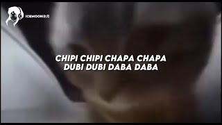 música VIRAL do gatinho que fala chipi chipi chapa chapa dubi dubi daba daba [upl. by Ennazus]