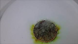 Coin in peracetic acid reaction [upl. by Oremo466]