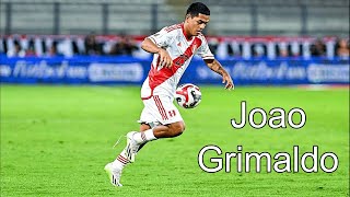 Joao Grimaldo ► Skills amp Goals ᴴᴰ [upl. by Balcer495]