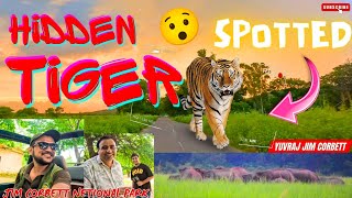 TIGER GRASSLAND MAIN CHIP GYA 🧐  JIM CORBETT NATIONAL PARK  yuvrajjimcorbett [upl. by Llerdnod503]