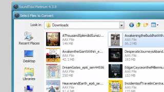 Remove DRM from iTunes Movies amp Music  Simple Tutorial on M4A amp M4V Conversion [upl. by Asilat72]