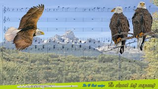 🎶 LE CHANT DES RAPACES  By Edouard BASSO 🎶 [upl. by Arrimat224]