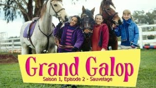 Grand Galop S1E2  Sauvetage [upl. by Elyc]