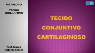 TECIDO CONJUNTIVO CARTILAGINOSO [upl. by Hulton]