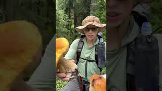 Mushroom gathering while hiking PCT [upl. by Keelia693]