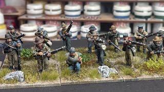 Perrys ACW Confederate skirmishers [upl. by Gian]