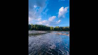 shenandoah national park river 🌊🪨🌳☀️☁️ [upl. by Peterson]